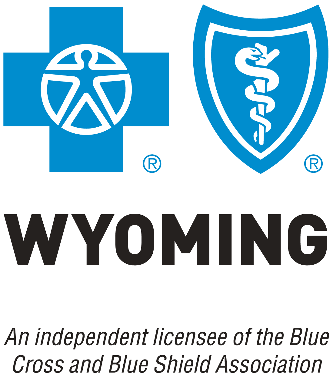 Blue Cross Blue Shield